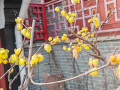 -狼山风景名胜区