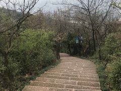 -杭州半山国家森林公园