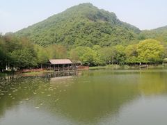 -八卦田遗址公园