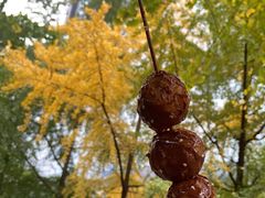 -邓记新一代糖油果子(四川煤管局供销公司职工宿舍店)