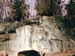 -清迈夜间动物园
