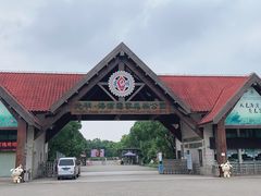 -上海海湾国家森林公园