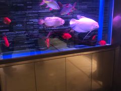-手佳健康会所(杏林宁宝店)