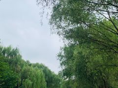 -同里国家湿地公园