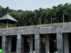 -日落吧·海景咖啡厅·餐酒吧·鸡尾酒·下午茶·乐队表演·浪漫夕阳·三亚文华东方酒店