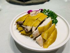 葱姜白斩鸡-粤味馆(黄河路店)