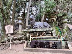 -奈良公园
