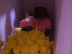 柠檬、蓝莓、玫瑰杯子蛋糕-西点坊(浦东香格里拉店)