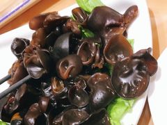 -清真军邺·金富苑肥牛(石坡街旗舰店)