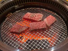 -观品和牛