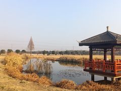 -上海杨姆庄园