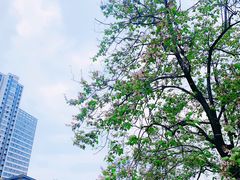 -红星桥(地铁站)