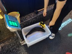 -江南鱼捞(北仑银泰城店)