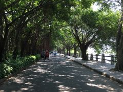 -大湾区中央湿地公园