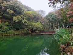 -句容茅山景区