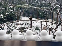-红山森林动物园