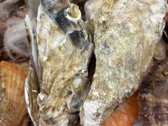 -桔子海鲜烧烤大排档(台东店)