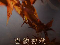 -天瑞轩·粤菜餐厅