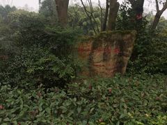 -邓小平故里