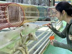 -芜湖方特东方神画
