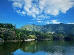 -深圳仙湖植物园