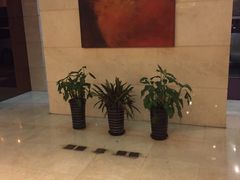 -上海豪德万源酒店(陆家嘴东方明珠店)