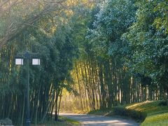 -苏州环秀晓筑养生度假村