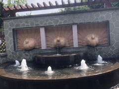 -美的鹭湖森林度假区