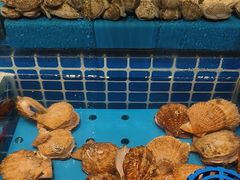 -海汕记·潮汕鲜牛肉火锅·自助