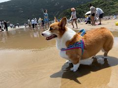 -朱家尖南沙景点
