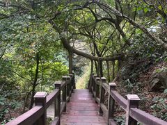 -羚羊峡古栈道森林公园