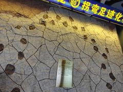 -诸城市恐龙博物馆