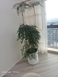 -HEYAN荷妍专业脱毛连锁机构