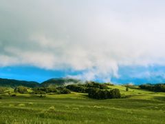 -塞罕坝国家级自然保护区