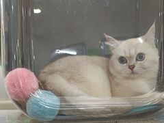 -爱侣宠医·鹦鹉专科·小型哺乳类·异宠专科(灵石路店)