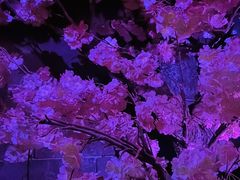 -E+有冰工厂·昆仑寒宫2(五角场店)