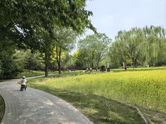 -北坞公园