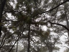 -敬亭山风景名胜区