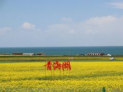 -青海湖国家重点风景名胜区
