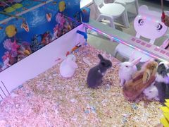 -大玩家(拱墅万达店)