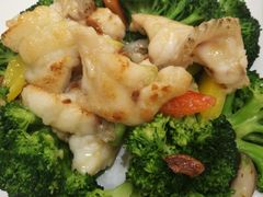 -海港酒家(上水新丰店)