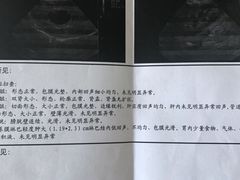 -美联众合动物医院·24h京西诊疗中心