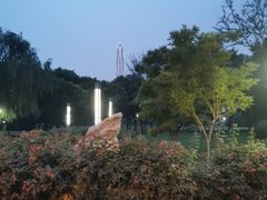 -泰丰公园