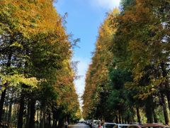 -山王坪喀斯特国家生态公园
