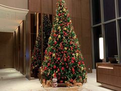 -嘉定凯悦·咖啡厅