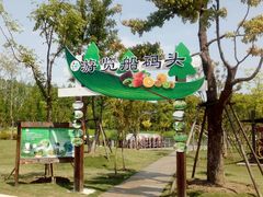 -上海长兴岛郊野公园