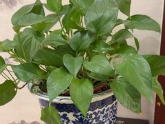 -老浒记民俗酒楼(王府井店)