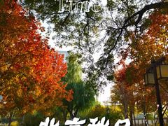 -西海子公园