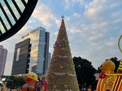 -金汇酒楼(中山东区店)