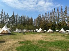 -前小桔亲子创意农场·草莓采摘·露营烧烤